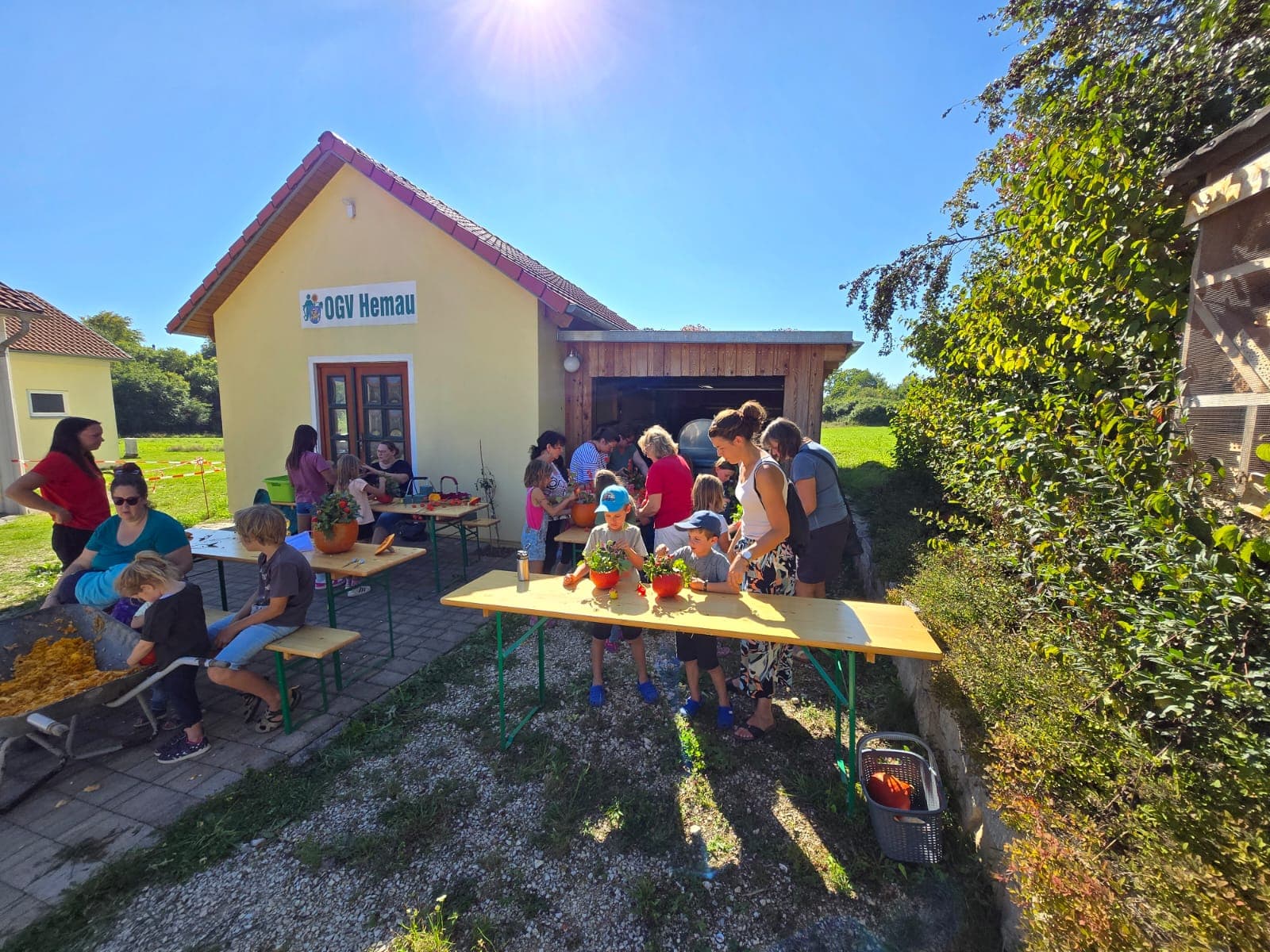 Wurzelputzer – Natur entdecken