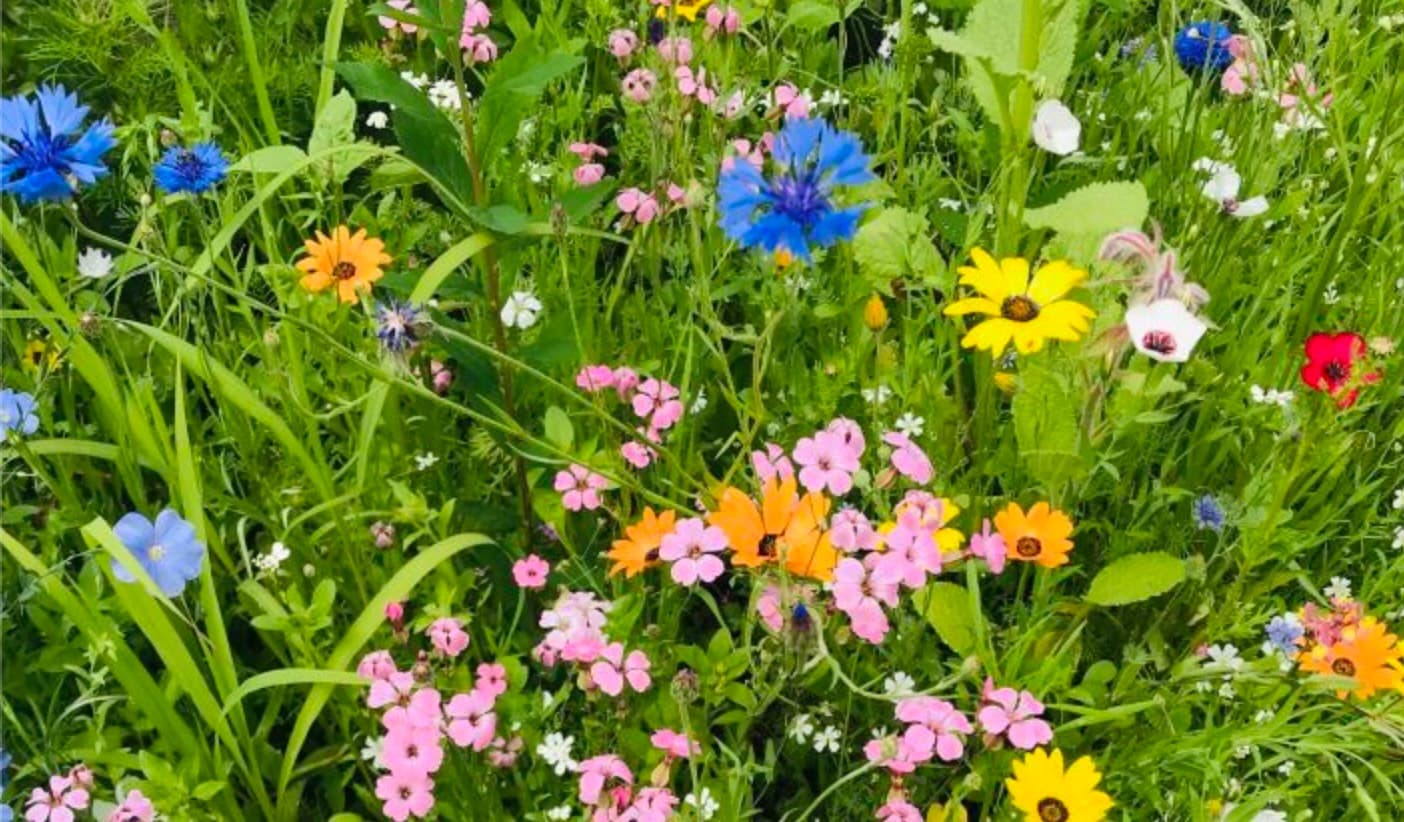 Gartenwissen des Landesverbandes